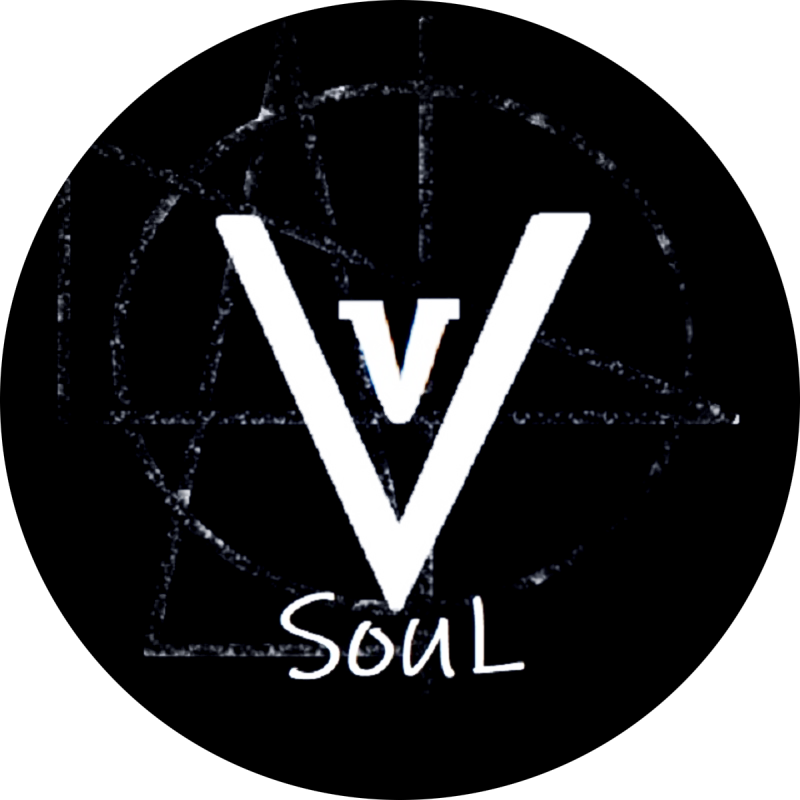 V-SouL artist profile image